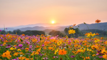 Como a chegada da primavera influencia na agricultura?