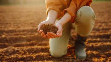 Tipos de solo mais comuns no Brasil e como fertilizá-los de forma inteligente