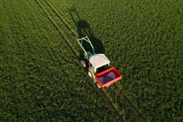 trator fertilizando o campo