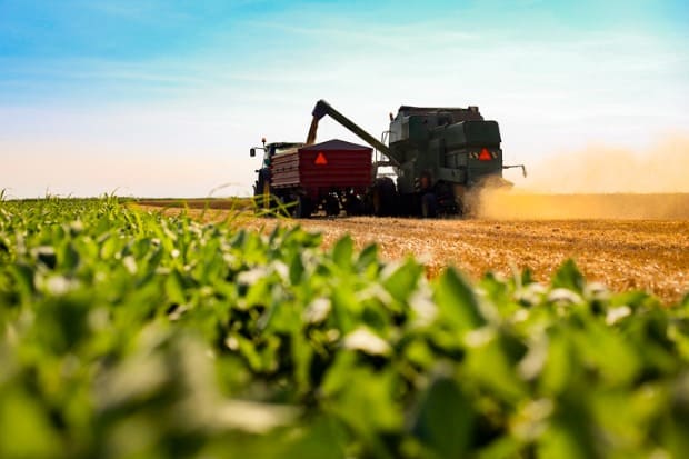 foto de um implemento agrícola 