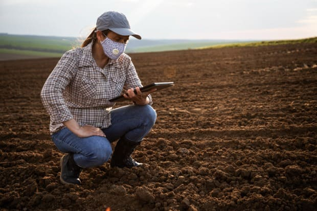 mulher analisando a produtividade do solo