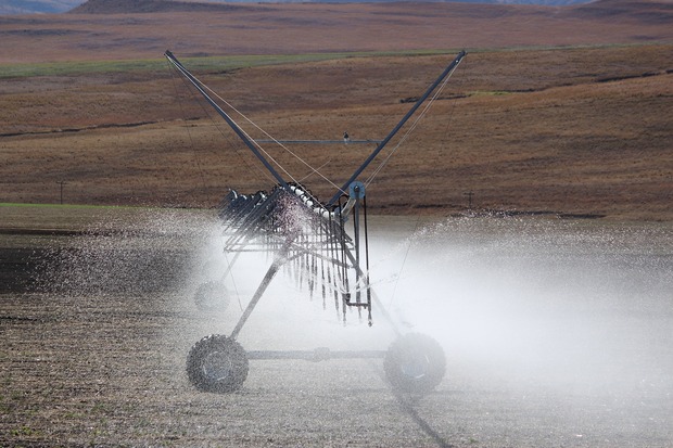 irrigação do plantio 